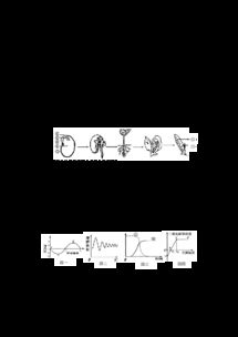 啟黃中學(xué)2014年春季初三理綜入學(xué)考試試題解析與備考啟示